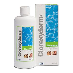 Clorexyderm Shampoo f.Hunde/Katzen 250 ml Haut und Fell